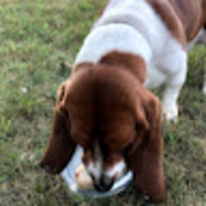 Meet your Posher, Jamie